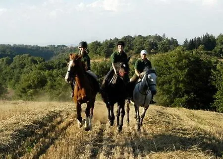 Castello Santa Cristina בית חווה Grotte di Castro