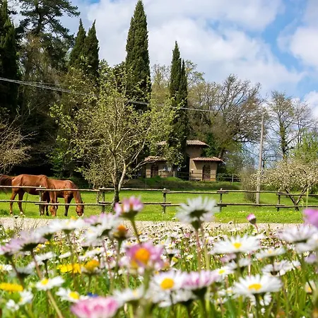 Castello Santa Cristina Alloggio per agriturismo Grotte di Castro